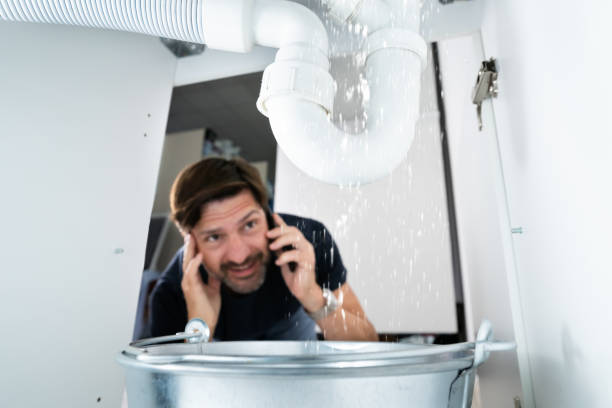 Best Plumbing Services Near Me  in Clifton, IL
